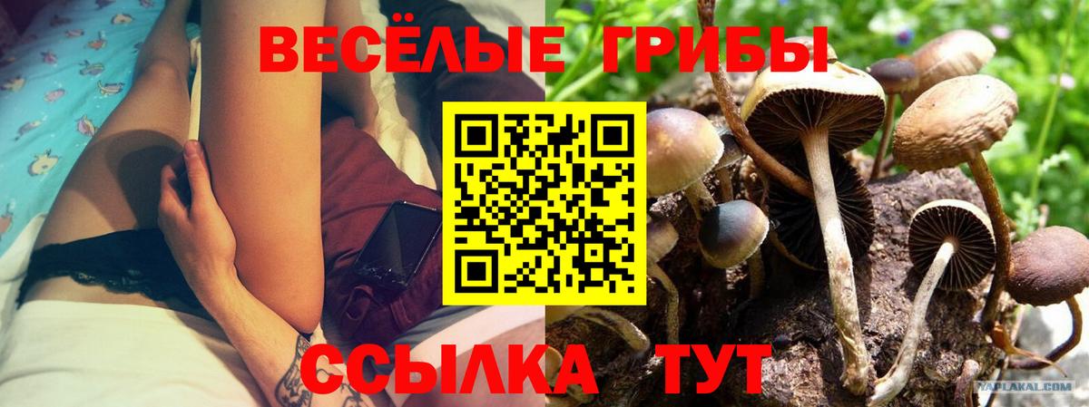 Псилоцибиновые грибы ЛСД Великий Новгород